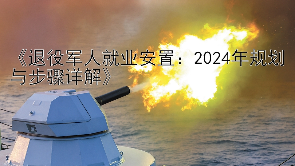 《退役军人就业安置：2024年规划与步骤详解》