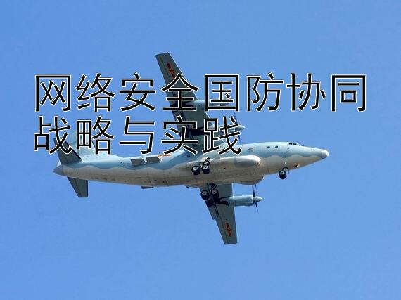 网络安全国防协同战略与实践