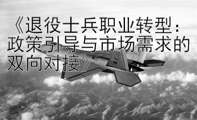 《退役士兵职业转型：政策引导与市场需求的双向对接》