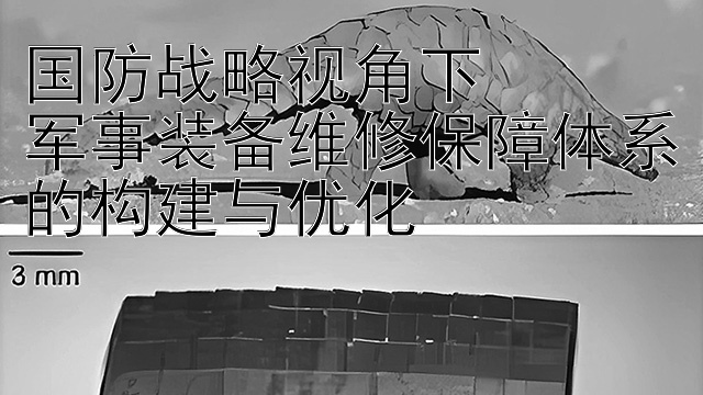 国防战略视角下  
军事装备维修保障体系的构建与优化