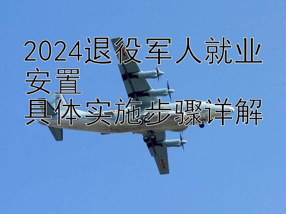 2024退役军人就业安置  
具体实施步骤详解